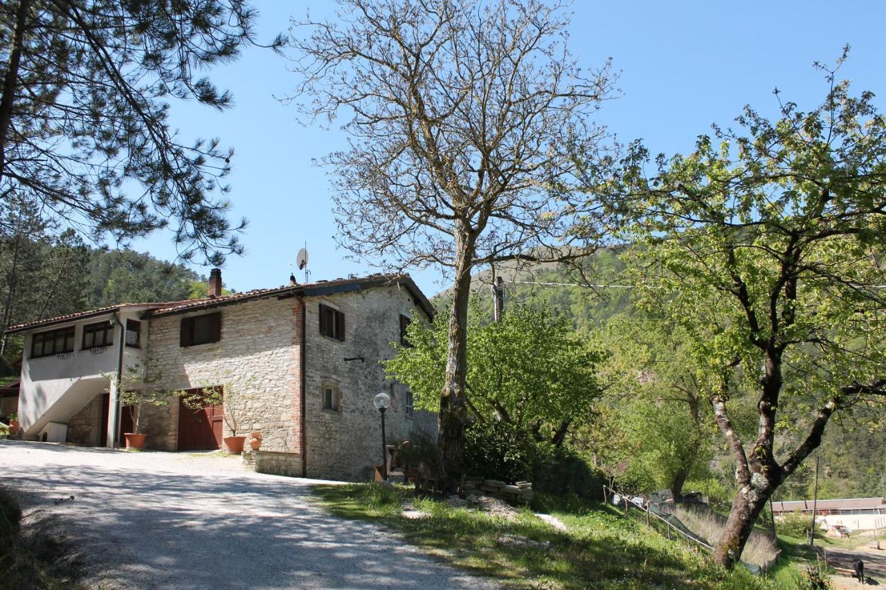 B&B Paradiso Губбио Экстерьер фото
