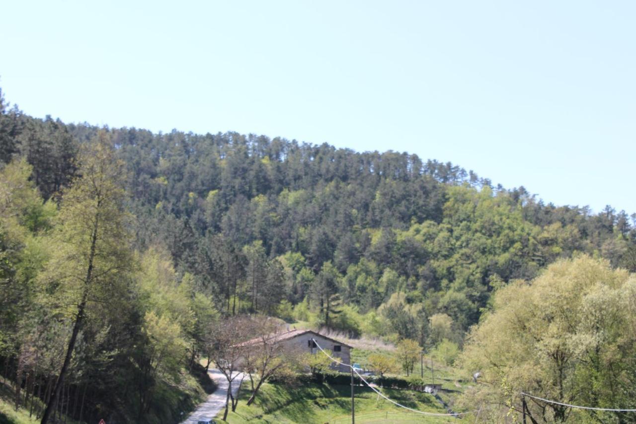 B&B Paradiso Губбио Экстерьер фото